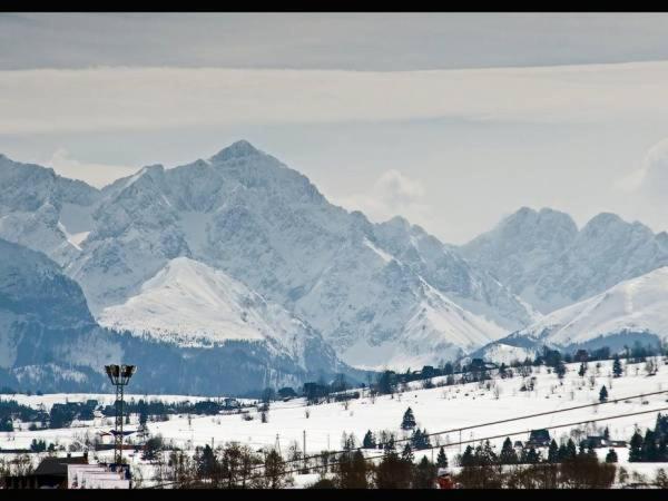 Roza Podhala *